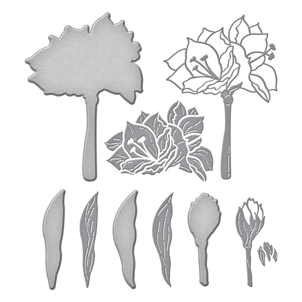 Spellbinders Amaryllis Christmas Yana's Amaryllis Dies (S4-1388) Spellbinders Amaryllis Christmas Yana's Amaryllis Dies (S4-1388)