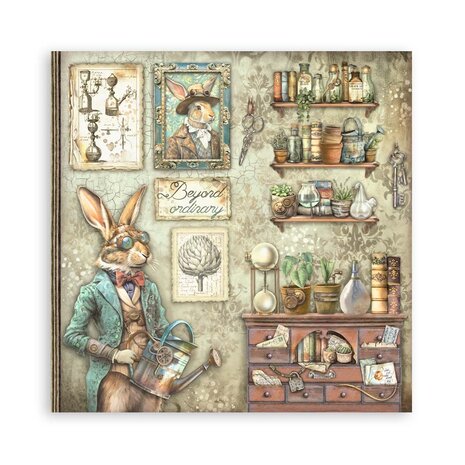 Stamperia Alterego 12x12 Inch Single Face Paper Pack (SBBXLB18) Stamperia Alterego 12x12 Inch Single Face Paper Pack (SBBXLB18)