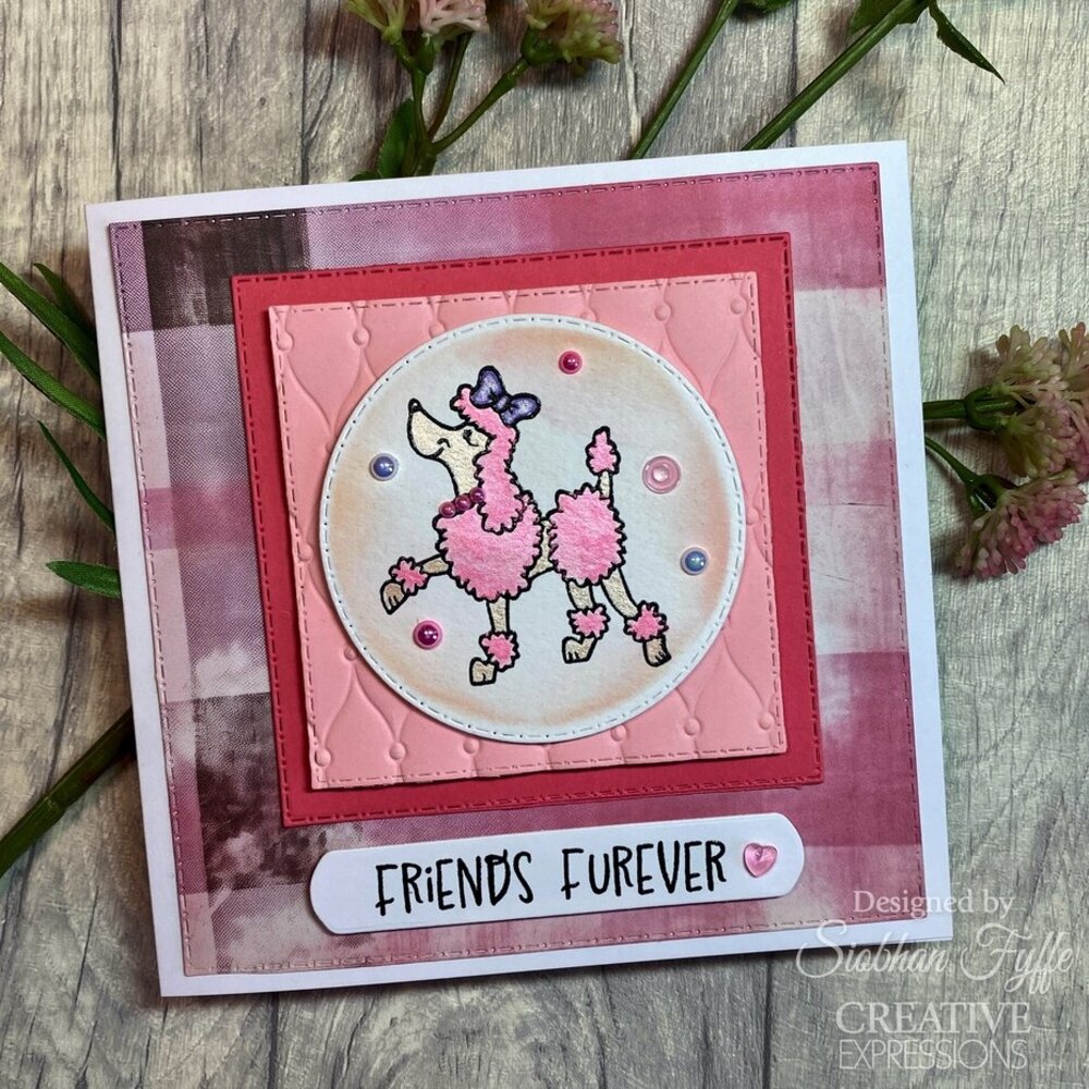 Creative Expressions Designer Boutique Clear Stamp A5 Canine Capers (UMSDB177) Creative Expressions Designer Boutique Clear Stamp A5 Canine Capers (UMSDB177)