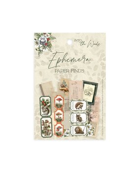 P13 Into the Woods Ephemera Paper Finds (P13-ITW-22) P13 Into the Woods Ephemera Paper Finds (P13-ITW-22)