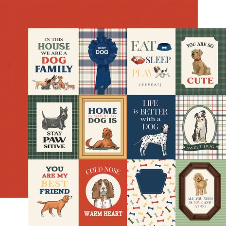 Carta Bella Best In Show 12x12 Inch Collection Kit (CBBIS402016)