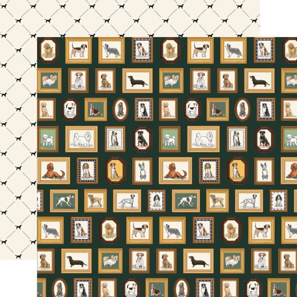 Carta Bella Best In Show 12x12 Inch Collection Kit (CBBIS402016)