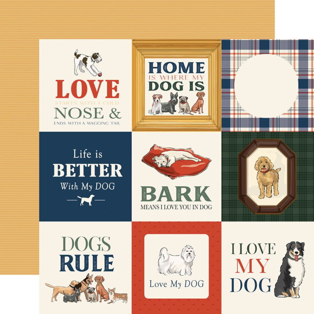 Carta Bella Best In Show 12x12 Inch Collection Kit (CBBIS402016)