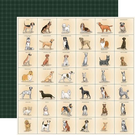 Carta Bella Best In Show 12x12 Inch Collection Kit (CBBIS402016)