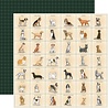 Carta Bella Best In Show 12x12 Inch Collection Kit (CBBIS402016) Carta Bella Best In Show 12x12 Inch Collection Kit (CBBIS402016)