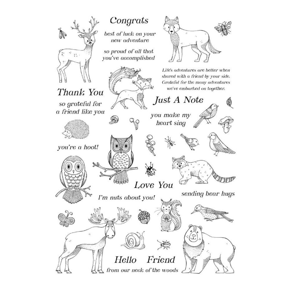 Spellbinders Woodland Wildlife Stamp and Die Bundle (BD-0915) Spellbinders Woodland Wildlife Stamp and Die Bundle (BD-0915)