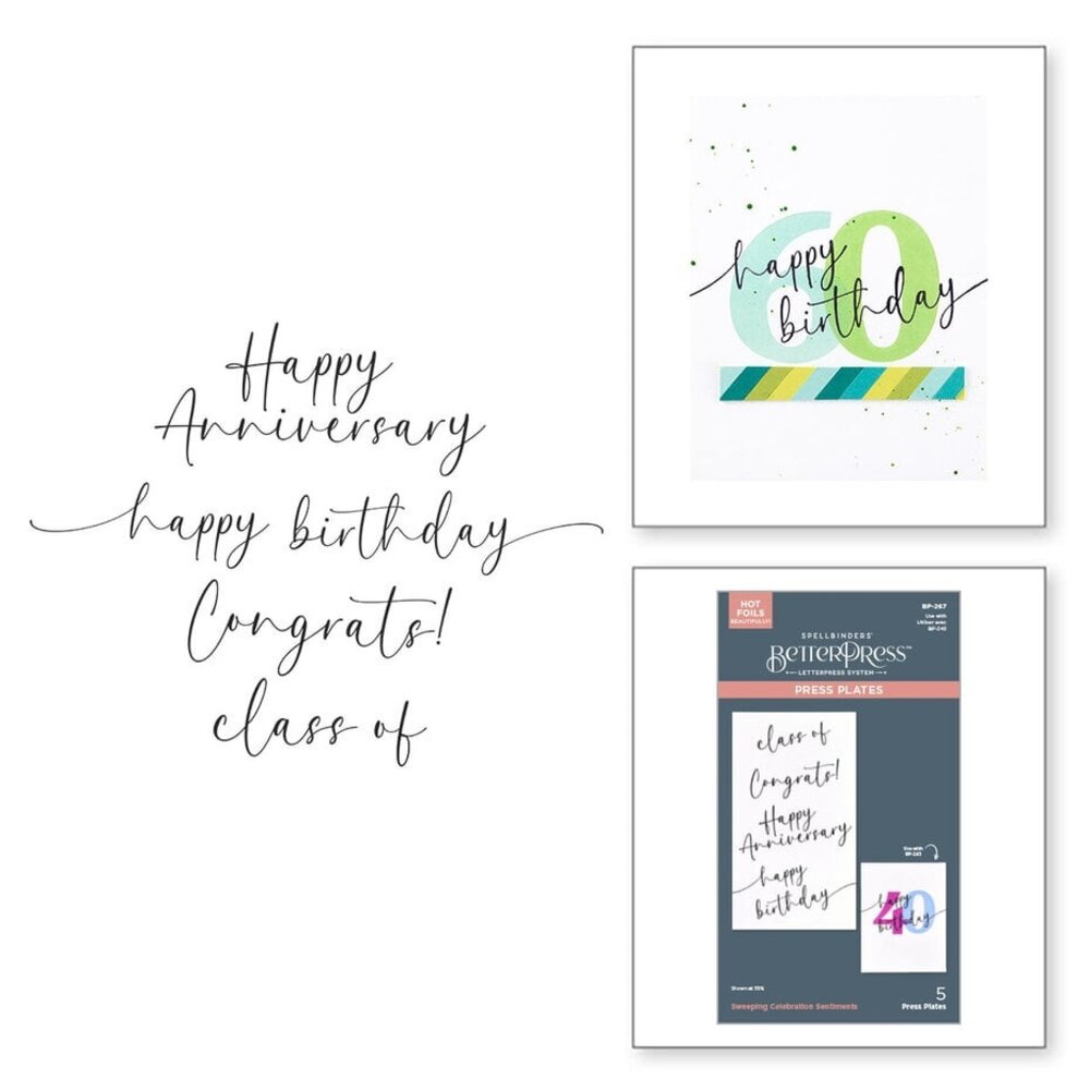 Spellbinders Color Mix Celebrations Sweeping Celebration Sentiments Press Plates (BP-267) Spellbinders Color Mix Celebrations Sweeping Celebration Sentiments Press Plates (BP-267)