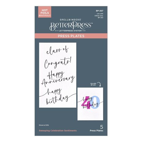 Spellbinders Color Mix Celebrations Sweeping Celebration Sentiments Press Plates (BP-267) Spellbinders Color Mix Celebrations Sweeping Celebration Sentiments Press Plates (BP-267)