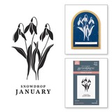 Spellbinders Florals Through the Year January Snowdrop Press Plates (BP-245)