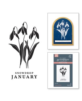 Spellbinders Florals Through the Year January Snowdrop Press Plates (BP-245) Spellbinders Florals Through the Year January Snowdrop Press Plates (BP-245)
