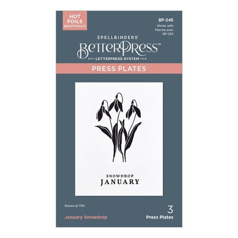 Spellbinders Florals Through the Year January Snowdrop Press Plates (BP-245) Spellbinders Florals Through the Year January Snowdrop Press Plates (BP-245)