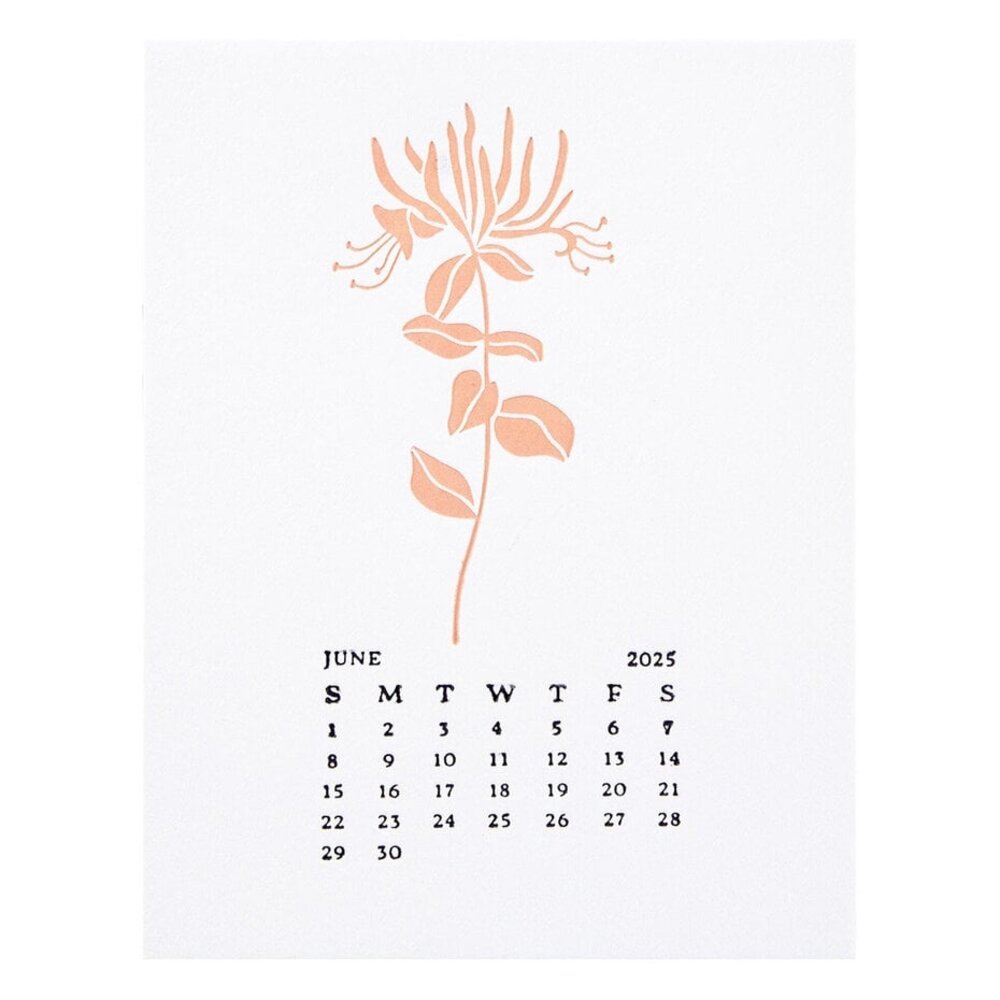 Spellbinders Florals Through the Year June Honeysuckle Press Plates (BP-250)