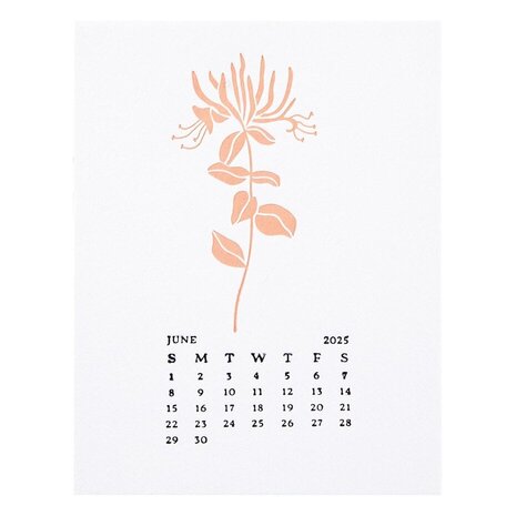 Spellbinders Florals Through the Year June Honeysuckle Press Plates (BP-250)