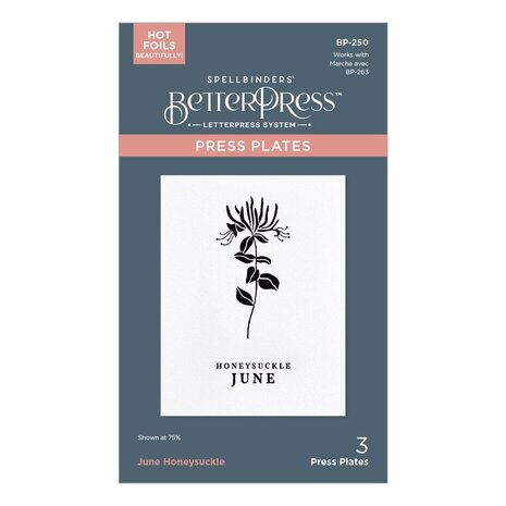 Spellbinders Florals Through the Year June Honeysuckle Press Plates (BP-250)