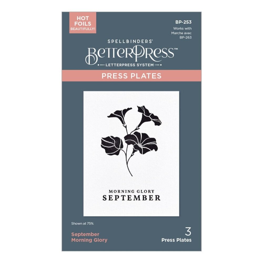 Spellbinders Florals Through the Year September Morning Glory Press Plates (BP-253)