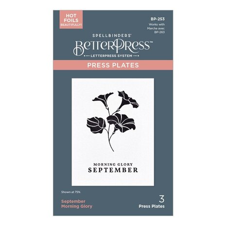 Spellbinders Florals Through the Year September Morning Glory Press Plates (BP-253)