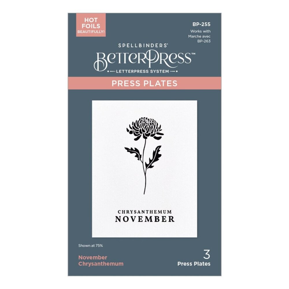 Spellbinders Florals Through the Year November Chrysanthemum Press Plates (BP-255) Spellbinders Florals Through the Year November Chrysanthemum Press Plates (BP-255)