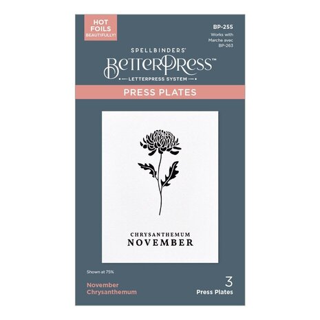 Spellbinders Florals Through the Year November Chrysanthemum Press Plates (BP-255) Spellbinders Florals Through the Year November Chrysanthemum Press Plates (BP-255)