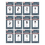 Spellbinders Florals Through the Year BetterPress Plates Bundle (BD-0910)