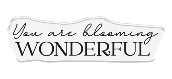 Crafter's Companion Blooming Florals 3D Embossing Folders, Dies & Stamps (CC-3DEF4-MD-STP-BLF)