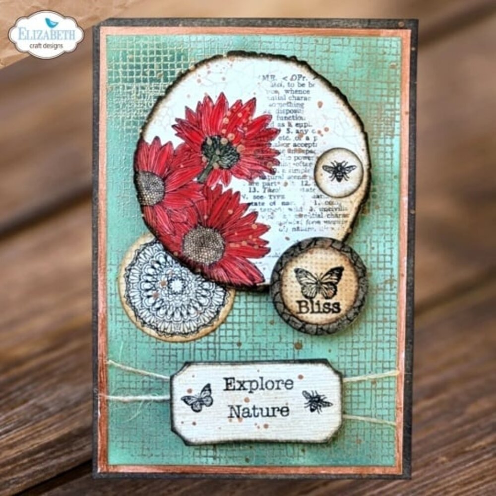 Elizabeth Craft Designs Whispers of Nature Dies Mushrooms & Tree Stumps (2198)