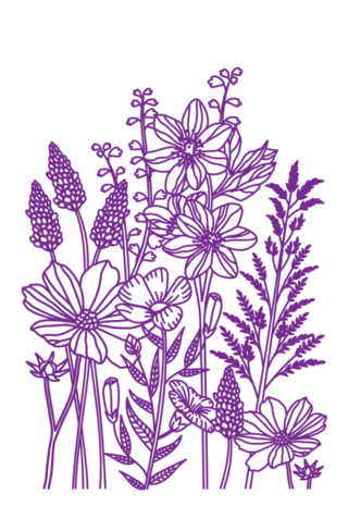 Crafter's Companion Flora Meadow 2D Embossing Folder (CC-EF4-FLOM) Crafter's Companion Flora Meadow 2D Embossing Folder (CC-EF4-FLOM)