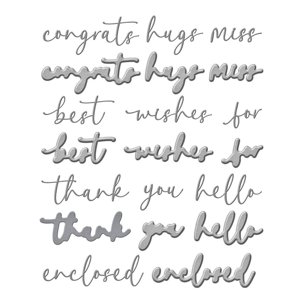 Spellbinders Vivid Expressions Vivid Script Sentiments Dies (S5-679) Spellbinders Vivid Expressions Vivid Script Sentiments Dies (S5-679)
