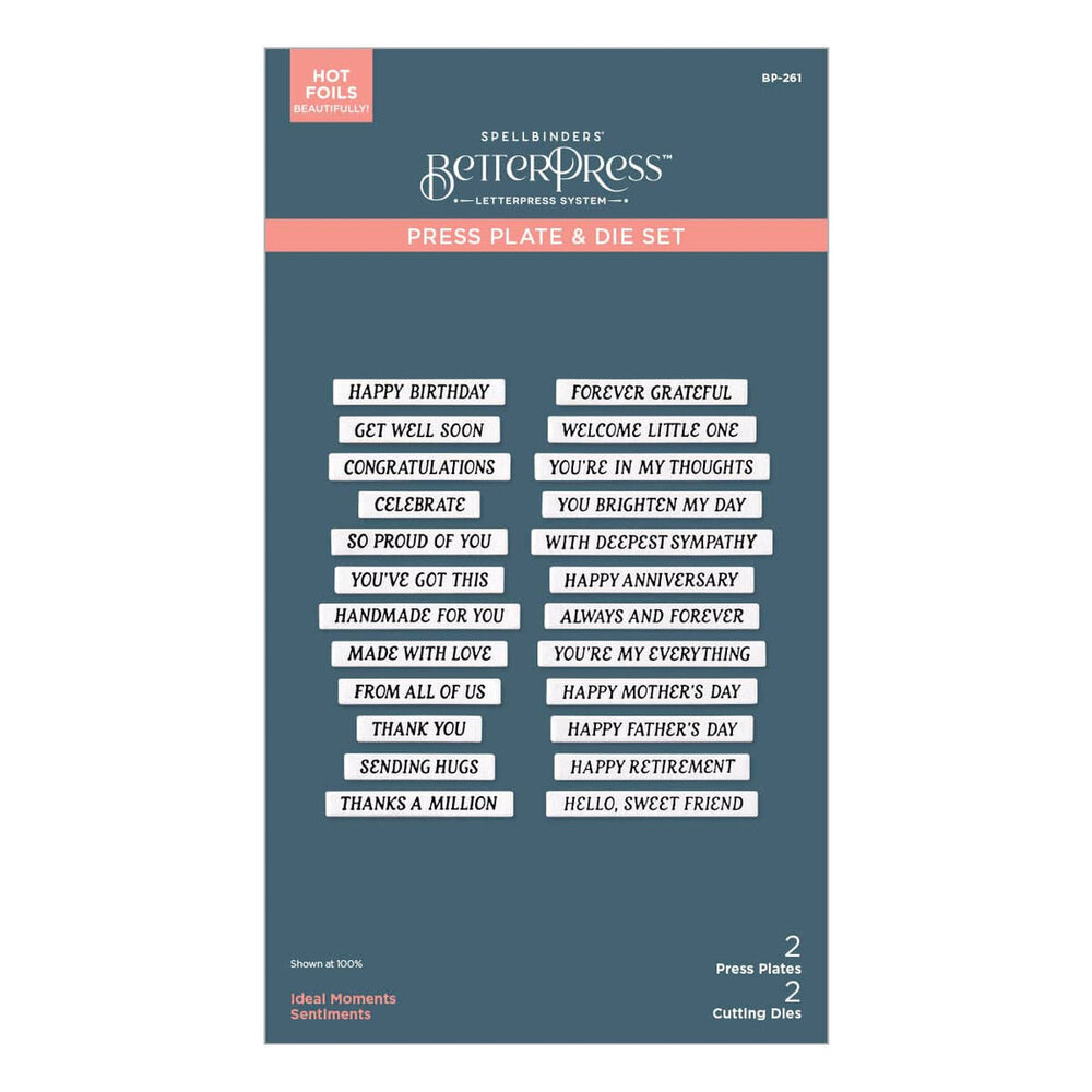 Spellbinders Vivid Expressions Ideal Moments Press Plate & Die Set (BP-261) Spellbinders Vivid Expressions Ideal Moments Press Plate & Die Set (BP-261)