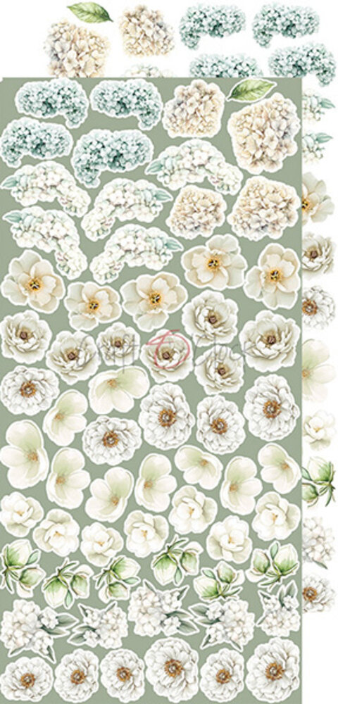 Craft O'Clock Cherished Memories Extras Set Flowers (CC-C72-CHM-11) Craft O'Clock Cherished Memories Extras Set Flowers (CC-C72-CHM-11)