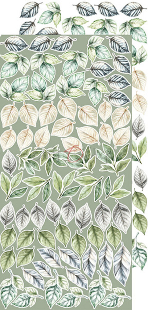 Craft O'Clock Cherished Memories Extras Set Flowers (CC-C72-CHM-11) Craft O'Clock Cherished Memories Extras Set Flowers (CC-C72-CHM-11)