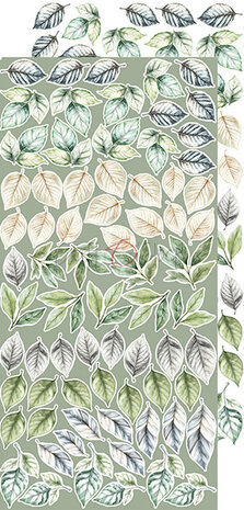 Craft O'Clock Cherished Memories Extras Set Flowers (CC-C72-CHM-11) Craft O'Clock Cherished Memories Extras Set Flowers (CC-C72-CHM-11)