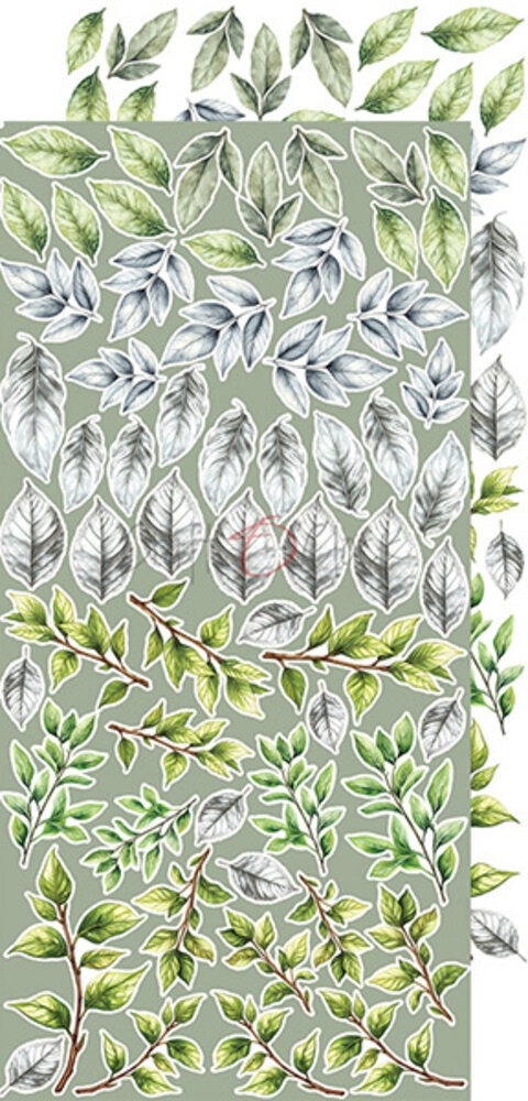 Craft O'Clock Cherished Memories Extras Set Flowers (CC-C72-CHM-11) Craft O'Clock Cherished Memories Extras Set Flowers (CC-C72-CHM-11)