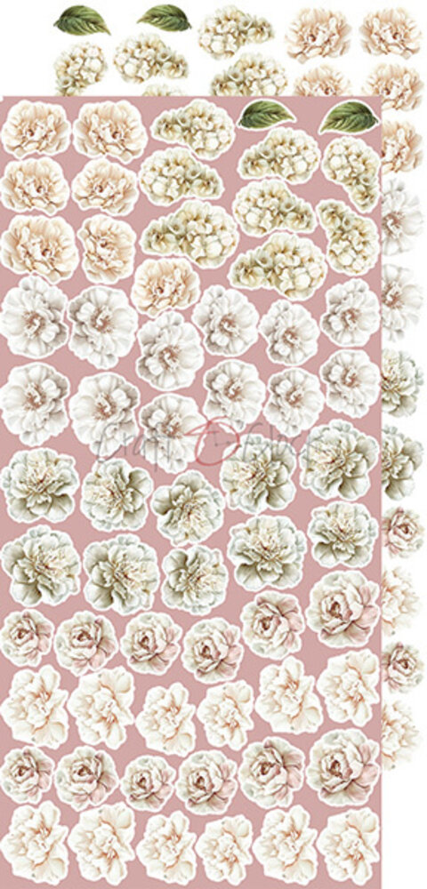 Craft O'Clock Rose Emotions Extras Set Flowers (CC-C73-RE-11)