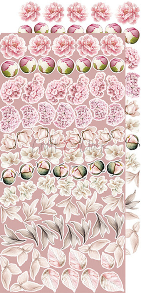 Craft O'Clock Rose Emotions Extras Set Flowers (CC-C73-RE-11)