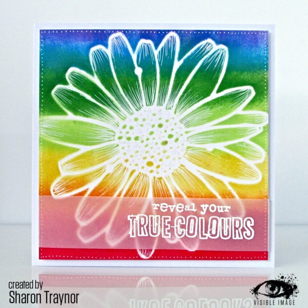 Visible Image Daisy Daisy 6x6 Inch Stencil (IN2334)