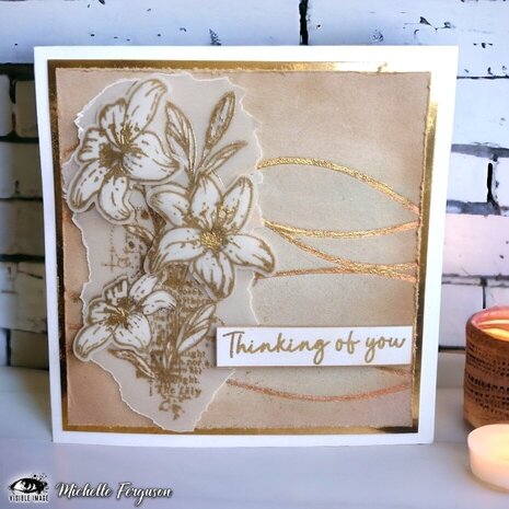 Visible Image Curves 6x6 Inch Stencil (TF2375)