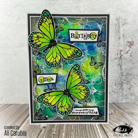 Visible Image Butterfly Effect A5 Stamp Set (PH2353) Visible Image Butterfly Effect A5 Stamp Set (PH2353)