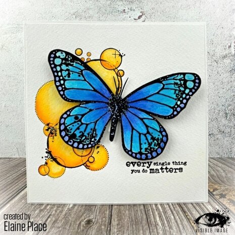 Visible Image Butterfly Effect A5 Stamp Set (PH2353) Visible Image Butterfly Effect A5 Stamp Set (PH2353)