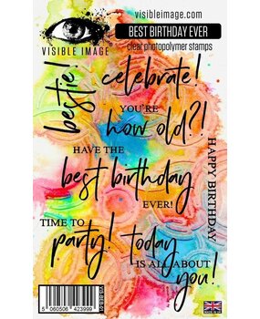 Visible Image Best Birthday Ever A6 Stamp Set (YD2305)