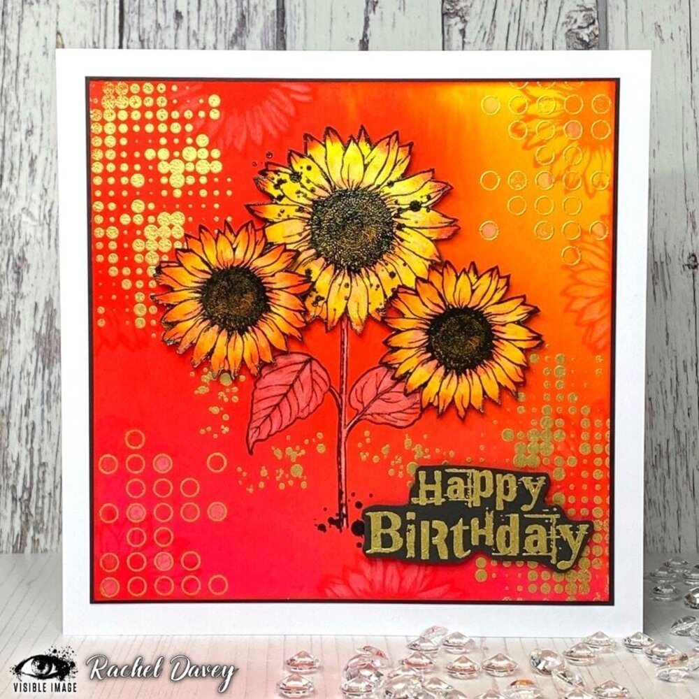 Visible Image Sunflower Grunge A6 Stamp Set (QV2305)