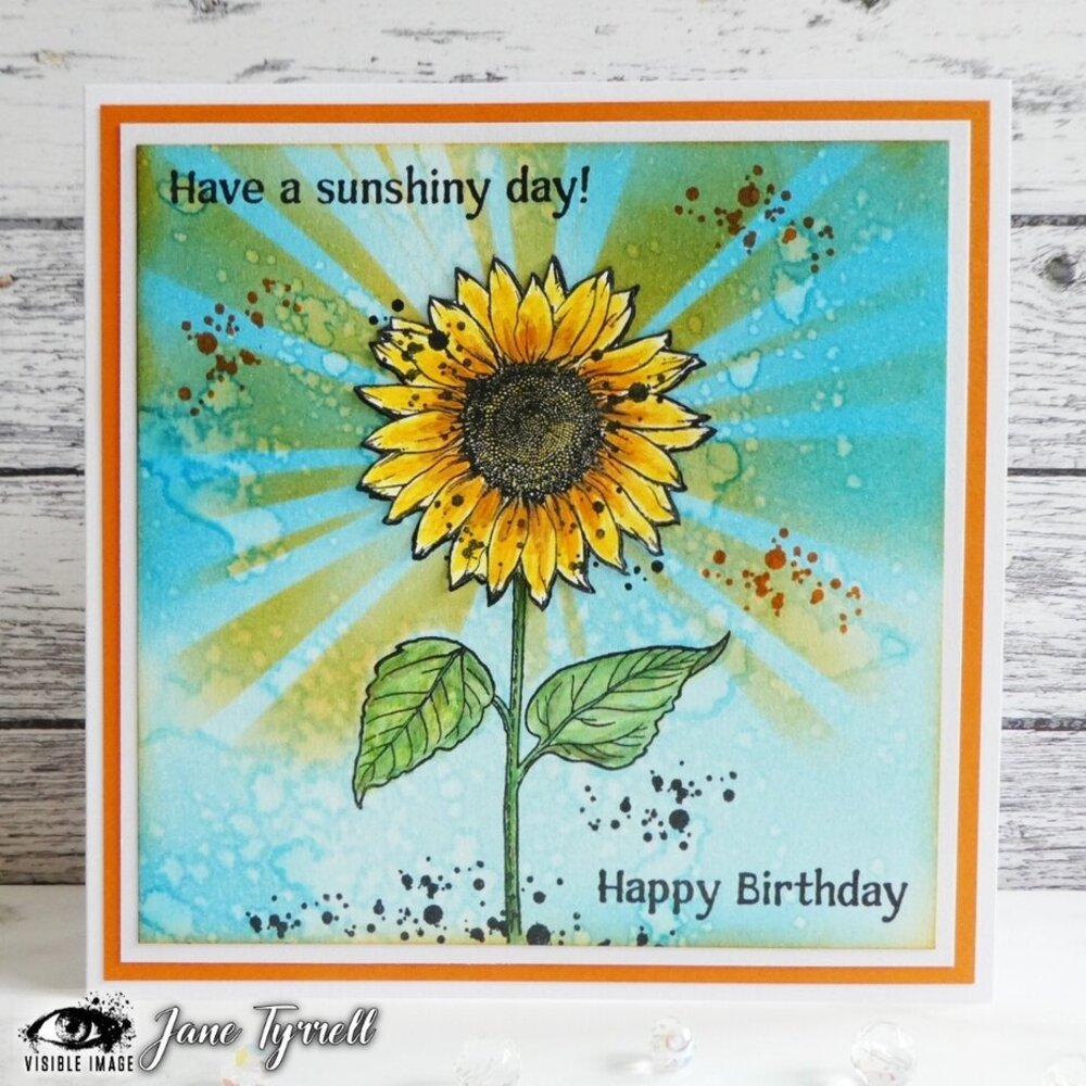 Visible Image Sunflower Grunge A6 Stamp Set (QV2305)