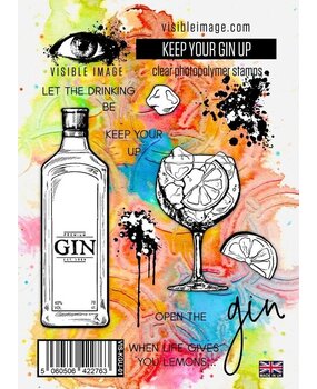 Visible Image Keep Your Gin Up A6 Stamp Set (HI2316)