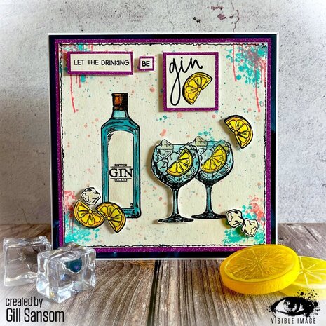 Visible Image Keep Your Gin Up A6 Stamp Set (HI2316)