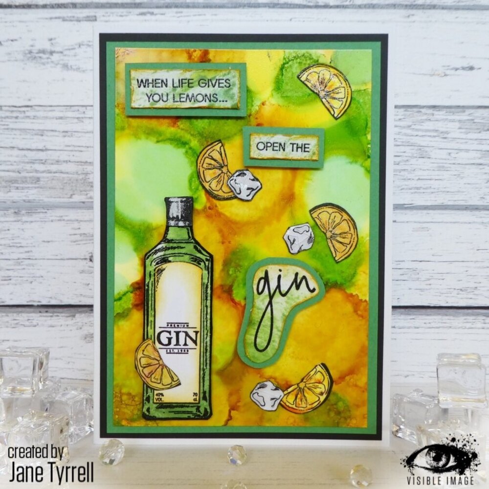 Visible Image Keep Your Gin Up A6 Stamp Set (HI2316)