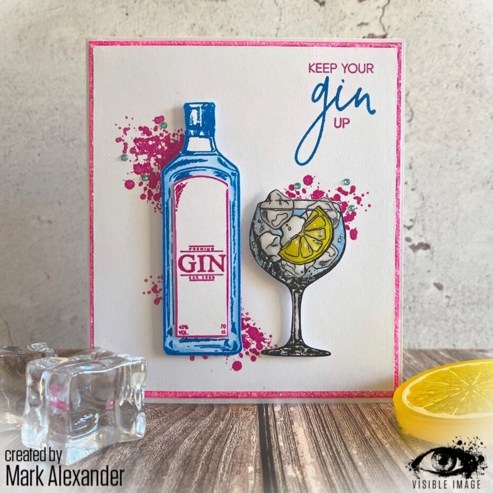Visible Image Keep Your Gin Up A6 Stamp Set (HI2316)