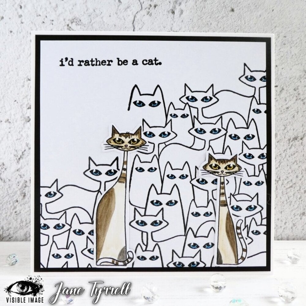 Visible Image Cat-tastic Background A6 Stamp Set (BQ2319) Visible Image Cat-tastic Background A6 Stamp Set (BQ2319)