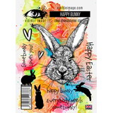Visible Image Happy Bunny A6 Stamp Set (HZ2320)