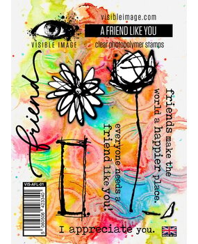 Visible Image A Friend Like You A6 Stamp Set (AY2323)