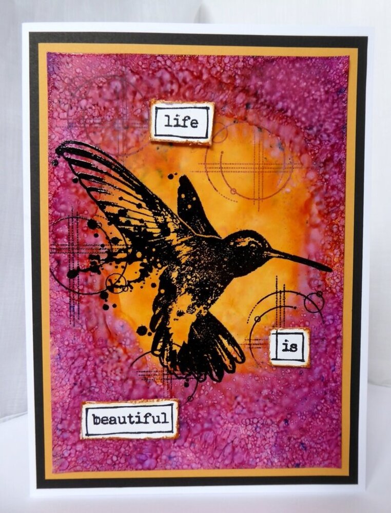 Visible Image Life is Beautiful A6 Stamp Set (XB2326)