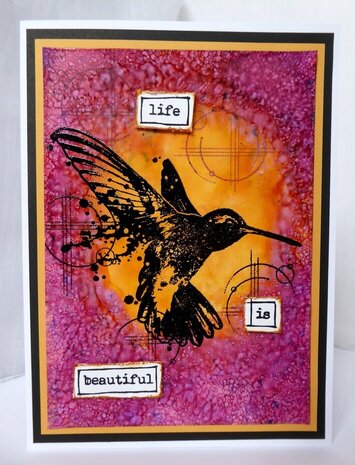 Visible Image Life is Beautiful A6 Stamp Set (XB2326)